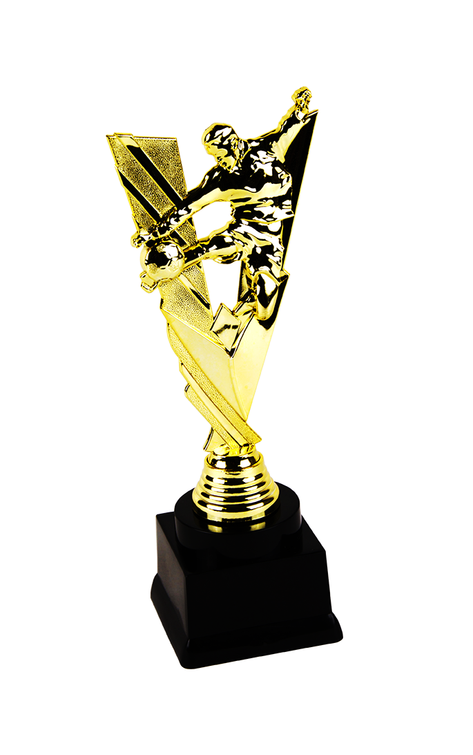 Trofej fotbal P190