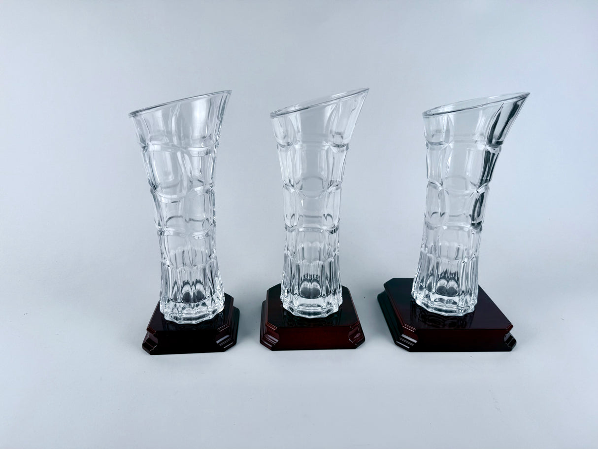 Skleněná trofej N 68410