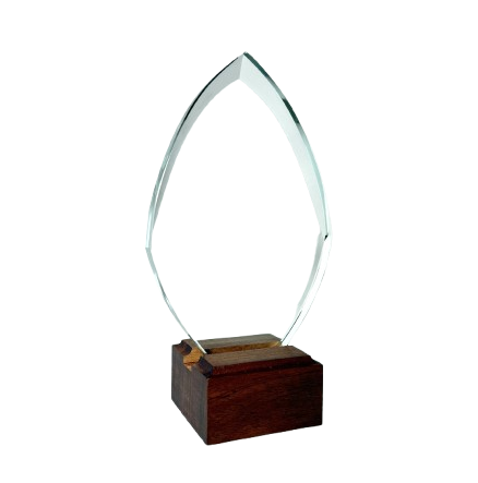 Skleněná trofej univerzal S2132