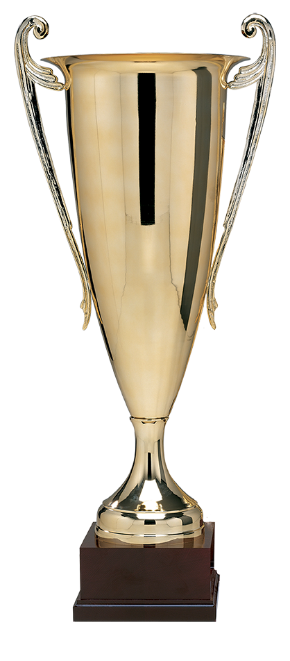 Pohár kov + dřevěný podstavec 350