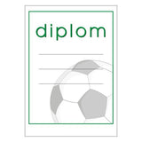 Diploma 6101