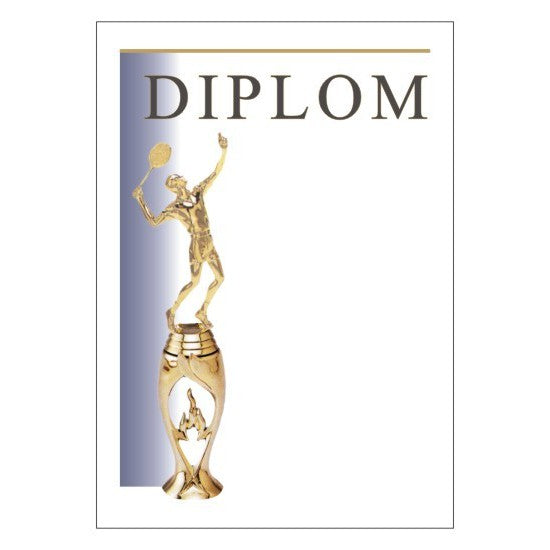 Diploma 6111