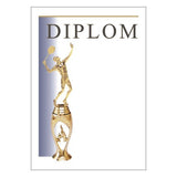 Diploma 6111