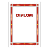 Diploma 6112