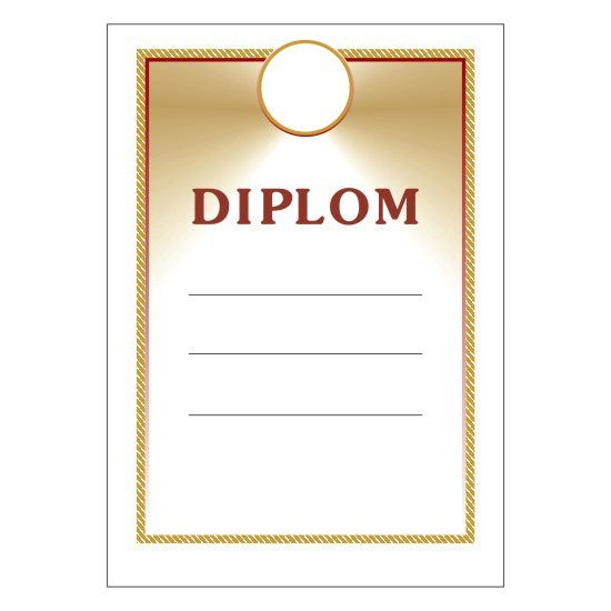 Diploma 6113