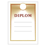 Diploma 6113