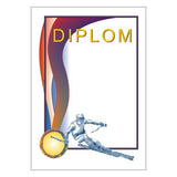 Diploma 6114