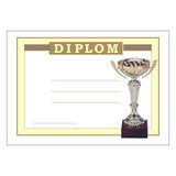 Diploma 6119