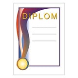 Diploma 6120