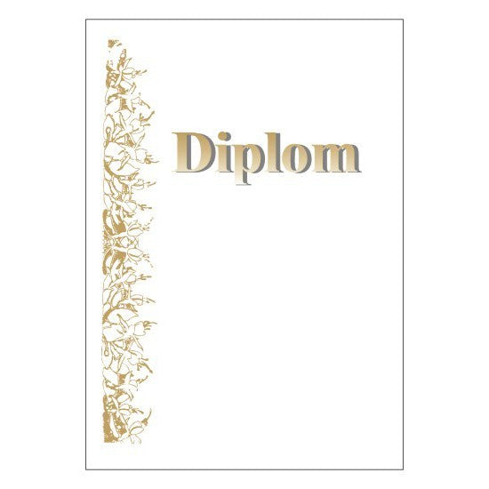 Diploma 6121