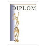 Diploma 6123