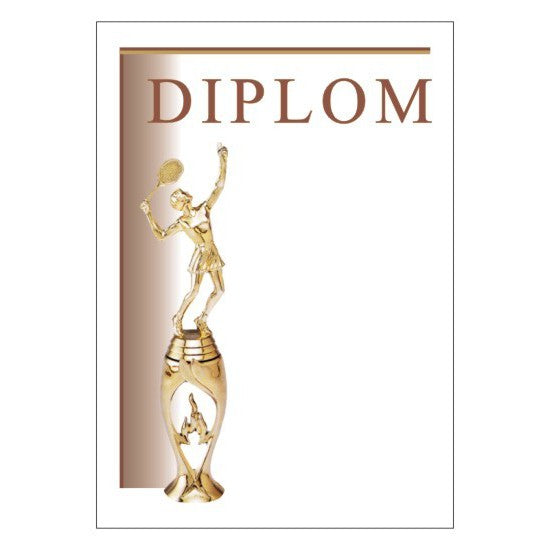 Diploma 6124