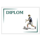 Diplon 6126