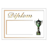 Diploma 6127