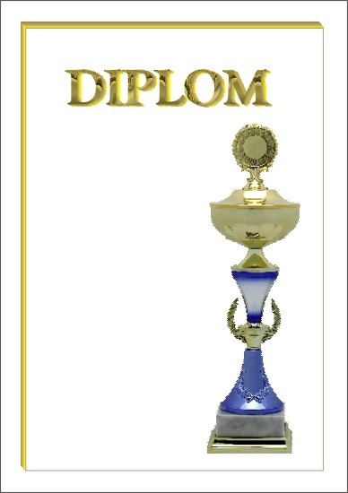 Diploma 6128