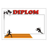 Diploma 6132