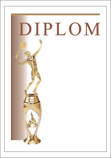 Diploma 6133