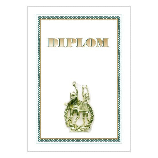 Diploma 6134