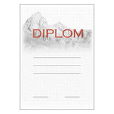 Diploma 6137