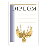 Diploma 6138