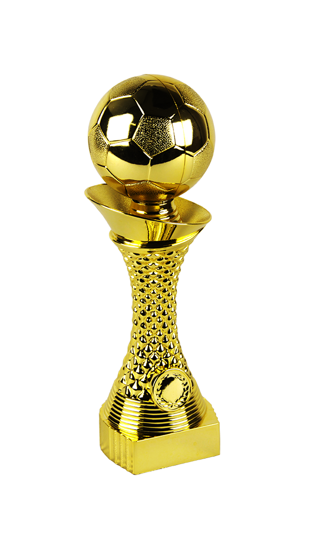 Pohár fotbal F1913