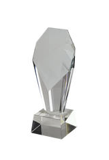 Glass trophy universal S1604