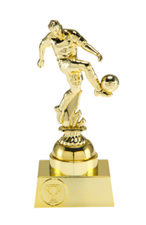 Trofej fotbal F1903