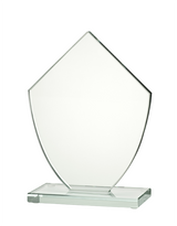Skleněná trofej univerzal S1710