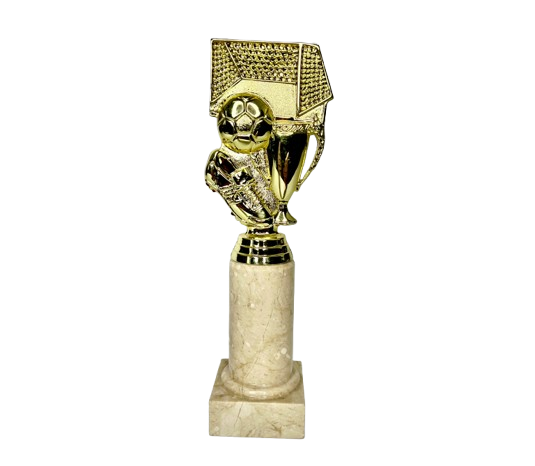 Fotbalová trofej AP 006
