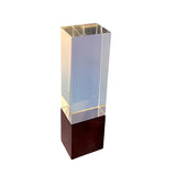 Glass trophy universal ST001